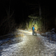 Illustration for article titled Lets ride a trail, he said. Foothills? he said.